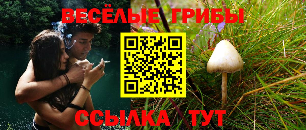 Галлюциногенные грибы Cubensis Грязи